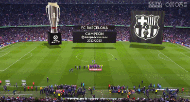 跟队：弗拉霍维奇伤情不乐观，很可能缺阵5-6周甚至更长时间（随队记者：弗拉霍维奇伤情堪忧，恐休战5-6周乃至更久）